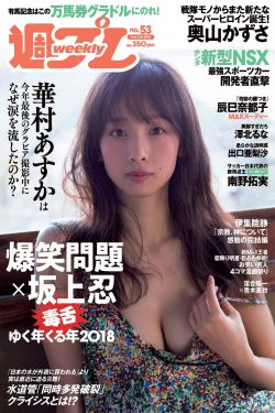 一见倾心电视剧