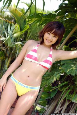 淋漓尽致3