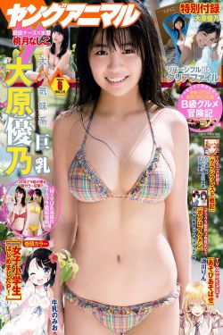 学车视频下载